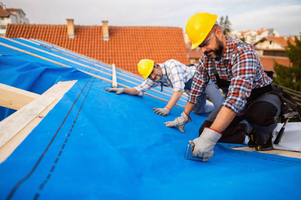 Best Flat Roof Repair Services  in Cherry Valley, IL