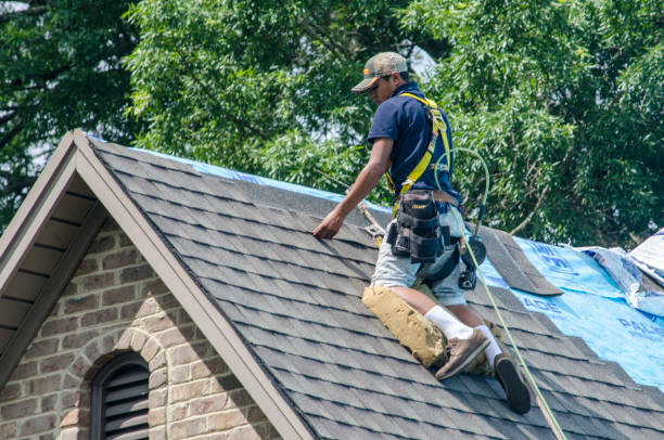 Best Gutter Installation and Roofing  in Cherry Valley, IL